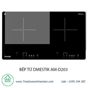 Bếp Từ Amd203 Dmestik