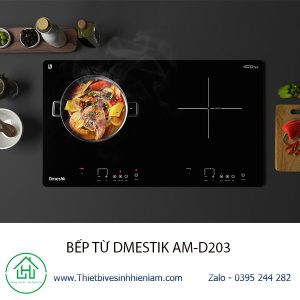 Bếp Từ Amd203 Dmestik1