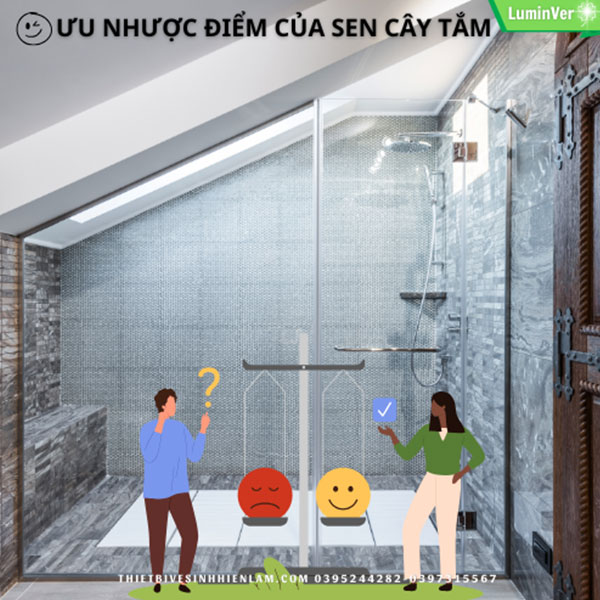 ưu Nhược điểm Của Sen Cây Tắm